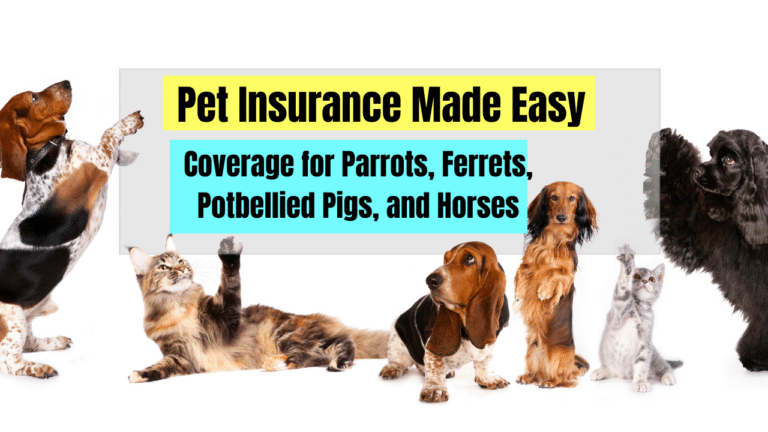 Pet Insurance Made Easy: Coverage for Parrots, Ferrets, Potbellied Pigs, and Horses